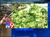 Visakha residents become shelterless due to cyclone Hudhud - Tv9