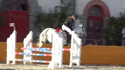 riella de vuzit, poney 1D, lamballe 11 / 10 / 2014