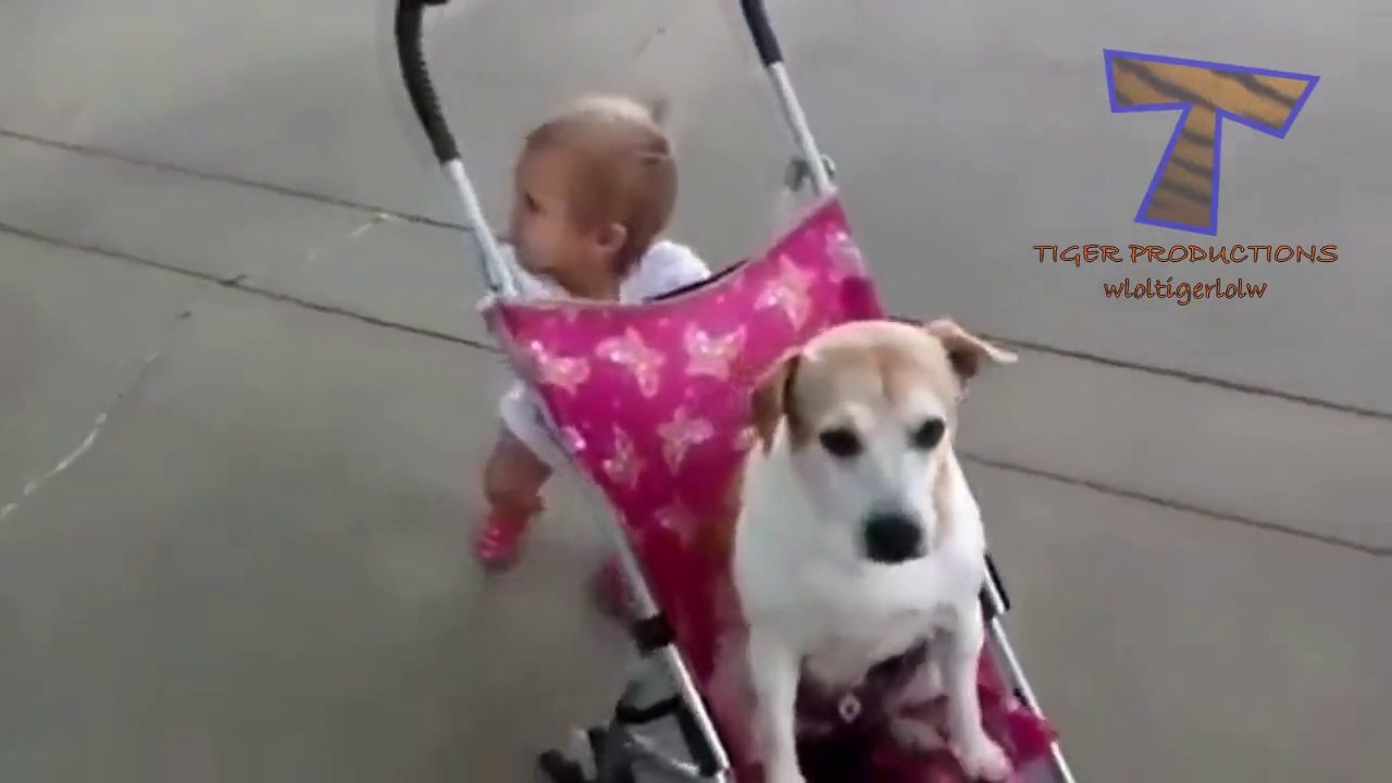 Babies and dogs take each other for a walk - Hilarious compilation