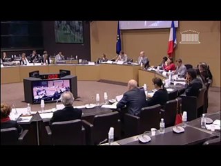 Audition assemblee nationale, Flavien Neuvy