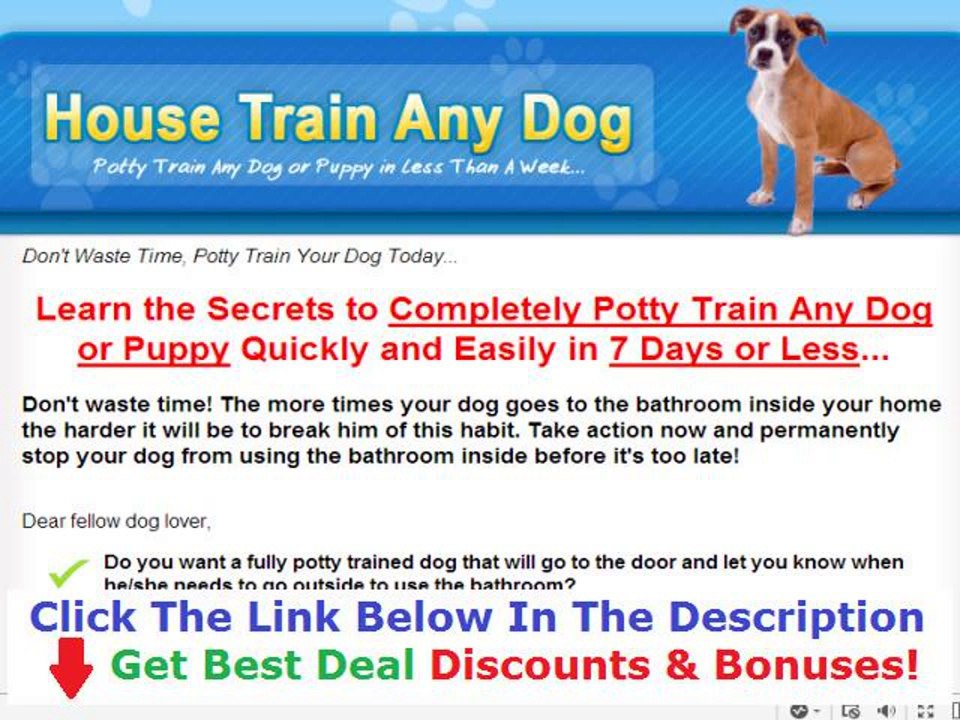 Potty Train Dogs Shocking Review  Discount + Bouns