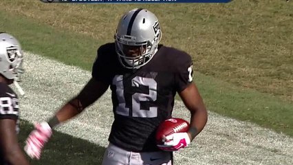 Brice Butler 47-yard touchdown catch