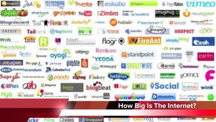 Man caught with 51 turtles in his pants! | Daily Dose of Weird News