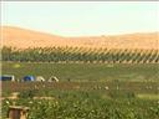 مشروع لرفع الإنتاج الزراعي والحيواني بتركيا