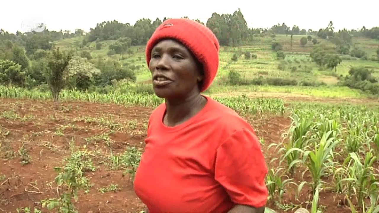 Kenia: Große Hilfe durch kleine Kredite | Global 3000