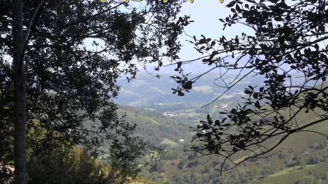 Massif d' IRATY en Pays Basque