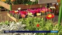 Octobre, le bon moment pour planter dans son jardin