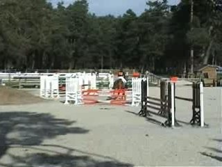 Fontainebleau 2007 !