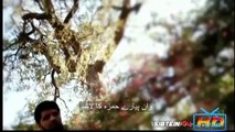 Main Apne Nabi ke kochay-Noman Shah Bukhari Naat