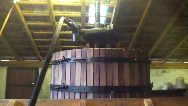 Vendanges 2014 au pressoir