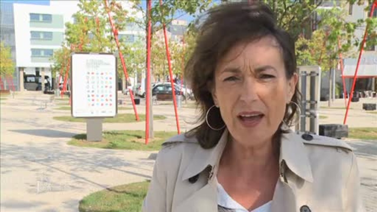 Allocations familiales : Interview de Sylviane Bulteau