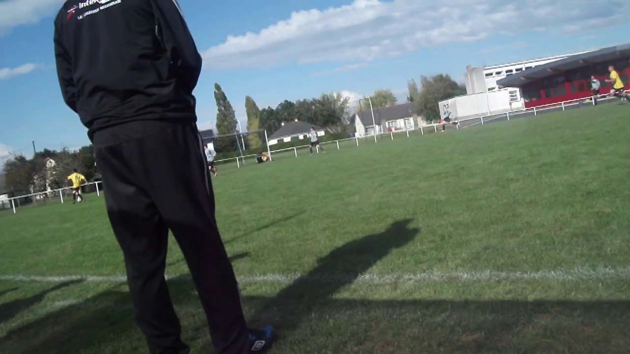 ASLB1-LION d ANGERS1