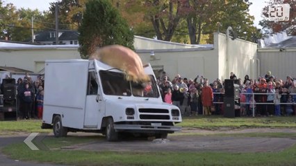 Fêter Halloween en écrasant une citrouille géante