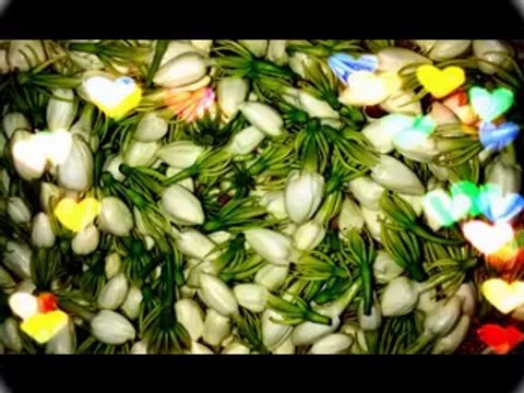 qissa hazrat yousaf A.S part 7