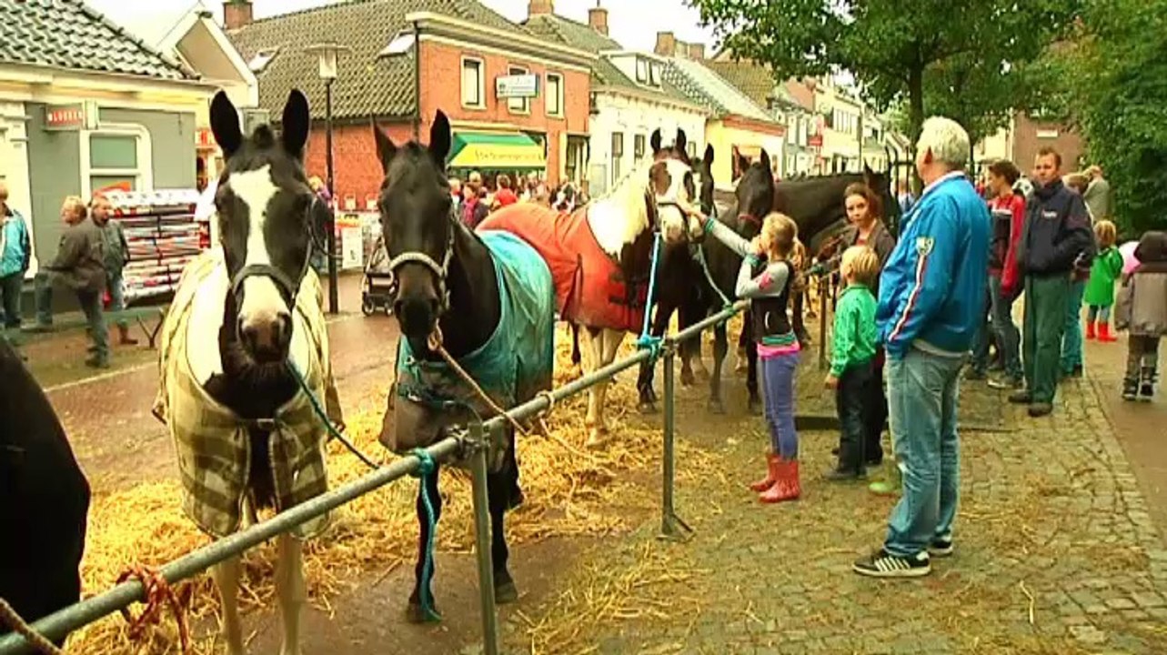Baistemaart trekt weer veel bezoekers - RTV Noord