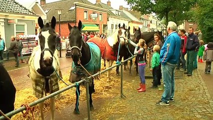 Baistemaart trekt weer veel bezoekers - RTV Noord