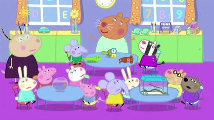 Peppa Pig English Episodes  || New HD Peppa Pig Playlist