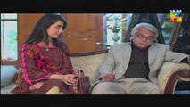Agar Tum Na Hotay Episode 30 HUM TV Drama