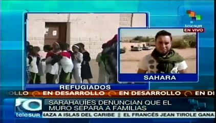 Saharauis exigen derribamiento del "Muro  de la vergüenza"