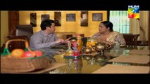 Agar Tum Na Hotay Episode 6 HUM TV Drama