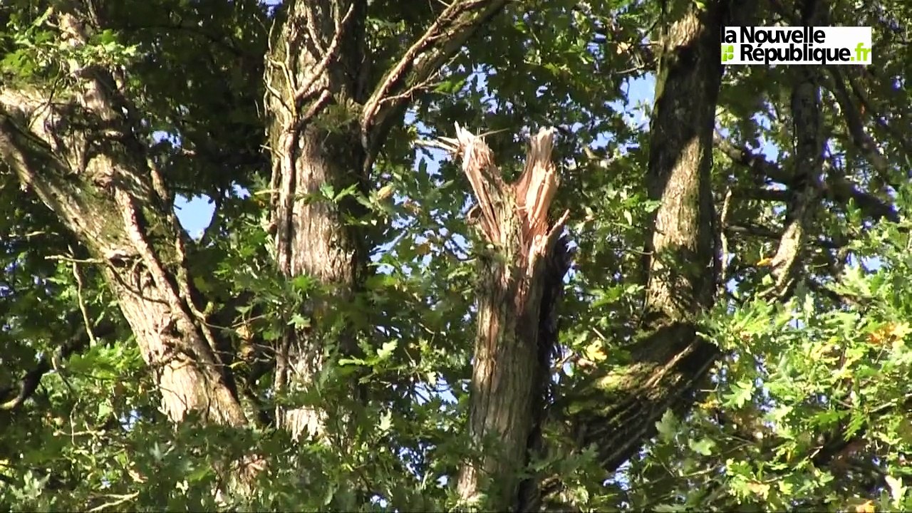 VIDEO. Une tornade à Tranzault (Indre) ?