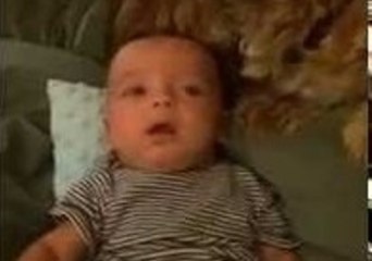 Puppy Frank Grooms and Protects Baby Noah