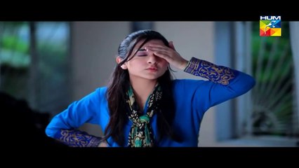 Mausam Episode 17 HUM TV Drama_2