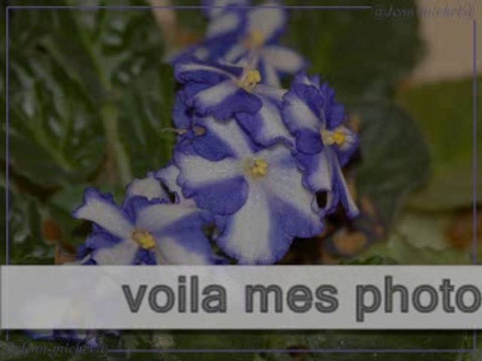 mes photos avec une superbe musique