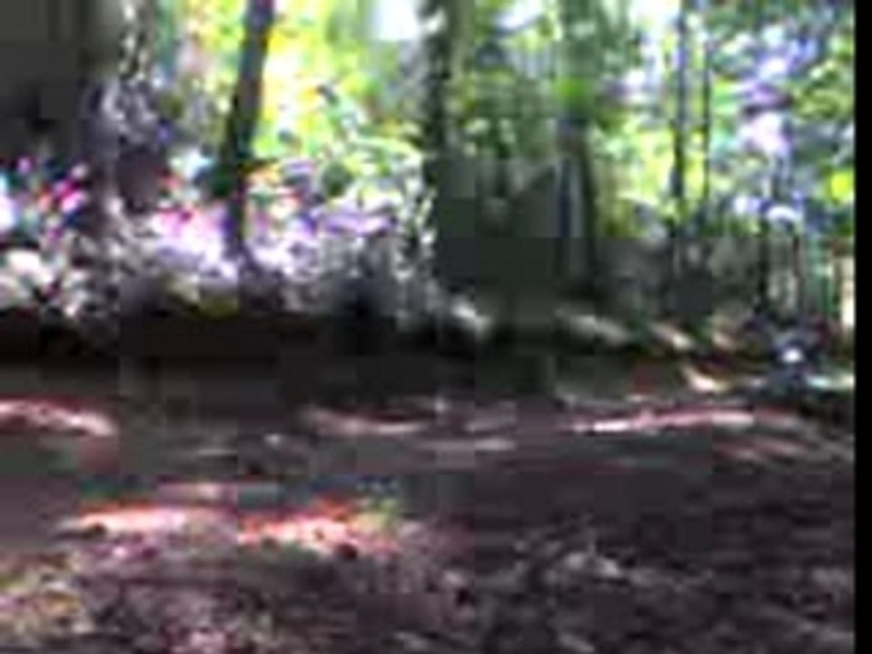 Enduro avec une 50 cc