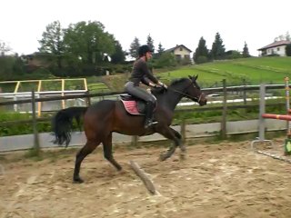 Sniper ligne - Mai2014 (stage Laurence)