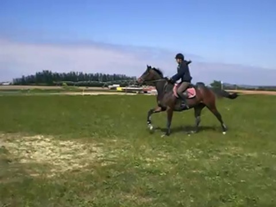 Sniper cross 1 - Mai2014 (stage Laurence)