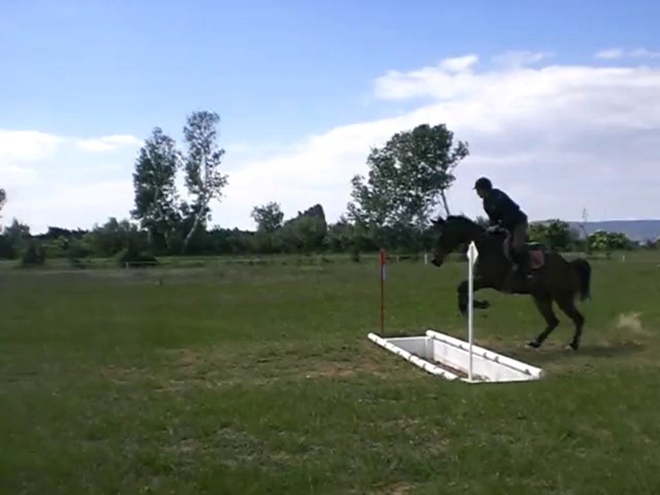 Sniper cross 2 - Mai2014 (stage Laurence)