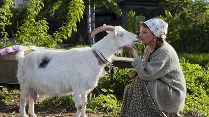 9 дней и одно утро (2014) полная версия смотреть онлайн HD