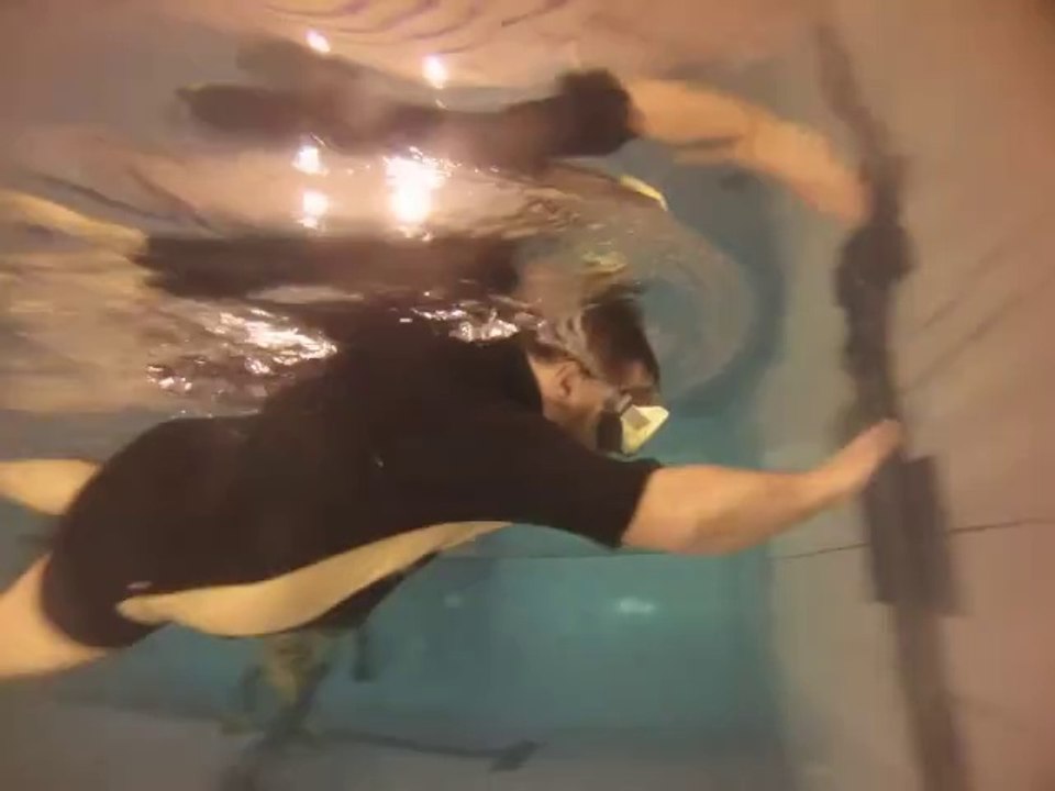 Séance plongée en piscine