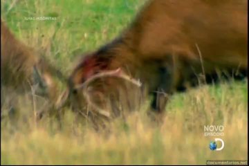 Ilhas indômitas - Hébridas: Terra de lendas