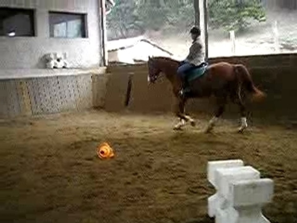 P1010017