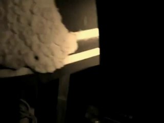 Danse au clair de lune