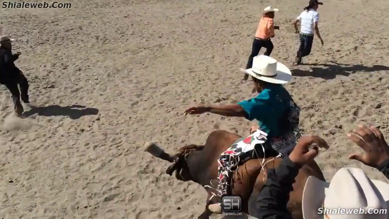 Jaripeo Extremo Jinetes Con Espuela Libre Montan Un Par De Toros Salvajes De Michoacan Mexico