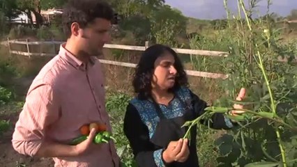 TV3 - Karakia - Cuinar les ocres  (vídeo extra)