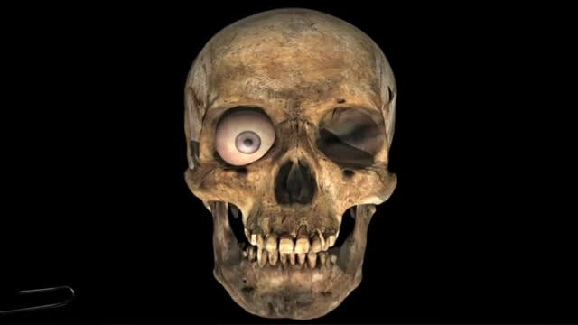 TV3 - 33 recomana - Festival Shakespeare. Biblioteca de Catalunya. Barcelona