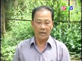 Làm giàu từ mô hình cây ăn trái,phát triển cây cà phê - nghenong.com