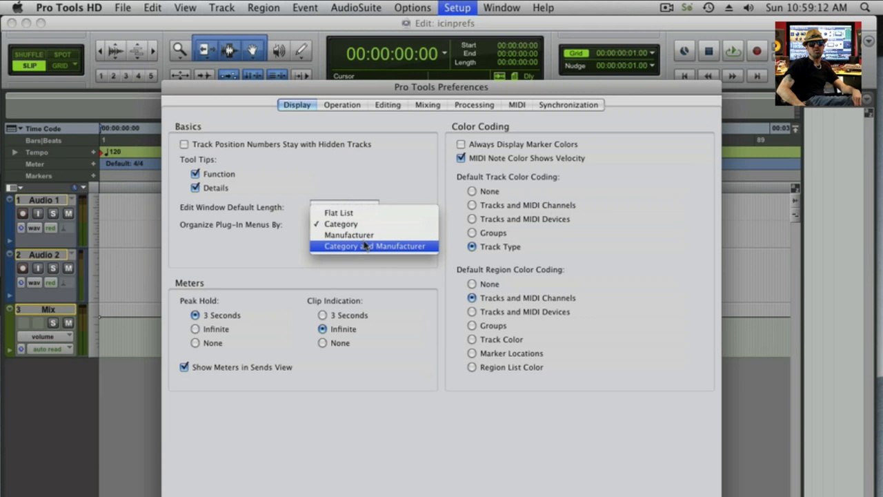 Pro Tools Preferences - Display