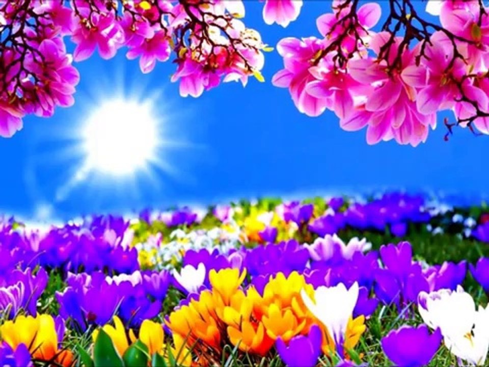 Buon martedi' Soliti/e