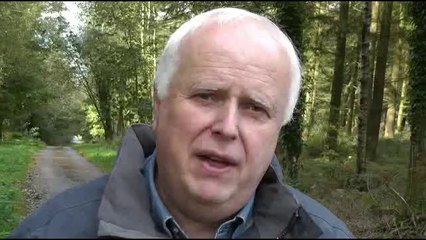 Love It , Fix It, Burn With It