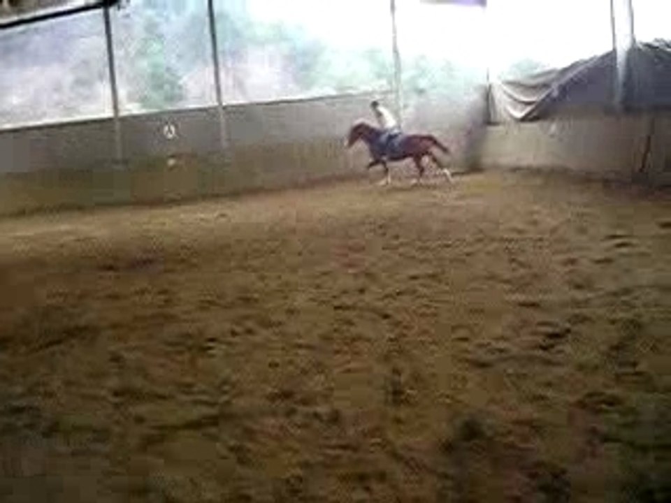 P1010015