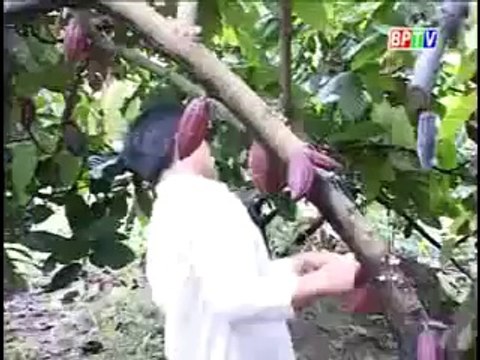 Mô hình chuyển đổi cây trồng nuôi, trồng và đánh bắt thuỷ sản hợp lý - nghenong.com