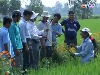 Mô hình công nghệ sinh thái trên đồng ruộng ở tiền giang - nghenong.com