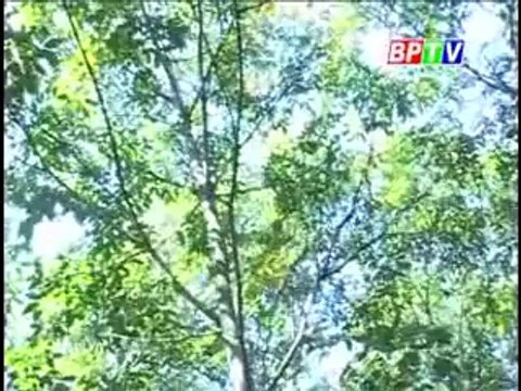 Mô hình kết hợp trồng trọt và chăn nuôi hiệu quả cao - nghenong.com