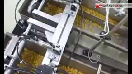 TGSRVott13_allarme_pasta_al_dente.mp4 TG 13.10.14