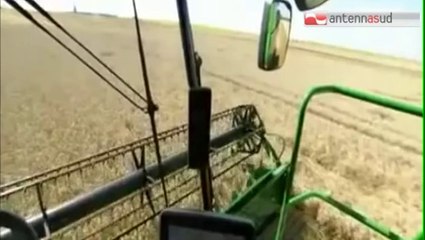 TGSRVott13_patto_agricoltori_per_pasta.mp4 TG 13.10.14